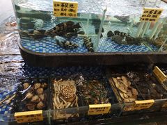 -大门水乡·顺德菜