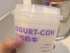 -一只酸奶牛(时代天街A馆店)