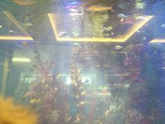 -碧桂园凤凰城酒店(南京店)