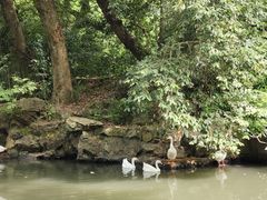 -兰亭风景区