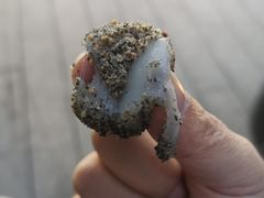 -叶氏麻糍(鼓浪屿店)
