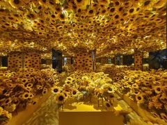 -成都梵高星空艺术馆(春熙路旗舰店)