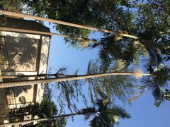 麒麟山庄-深圳麒麟山庄