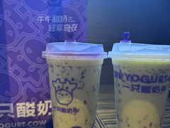 -一只酸奶牛(八一路店)