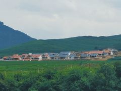 -江心岛