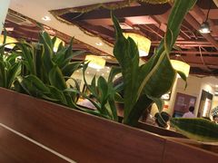 -又一间茶点轩(百汇广场店)