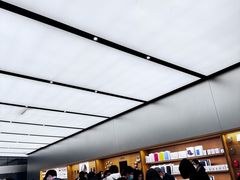 -Apple 零售店(Canton Road)
