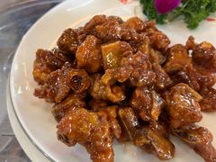 -麻奢鸽农庄·梦里水乡