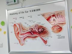 -自然之声助听器·呼吸机(翠微大厦店)