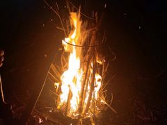 -前小桔亲子创意农场·草莓采摘·露营烧烤