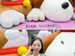 -PO PARK东方宝泰
