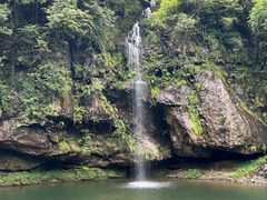 -龙苍沟森林公园
