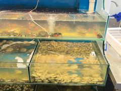 -仙螺岛海鲜自助餐厅(总店)