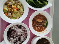 -佛山复星禅诚医院