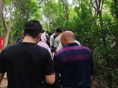 -上海佘山国家森林公园西佘山园