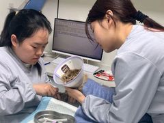 -诺比宠物医院心脏内科·泌尿肾内外科·骨科急重症