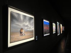 -罗红摄影艺术馆