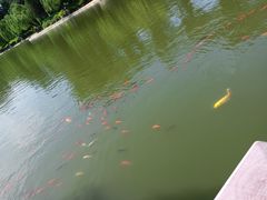 -中国农业博物馆