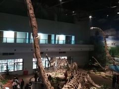 -自贡恐龙博物馆