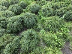 -扬州瘦西湖温泉