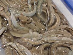 -健眺小海鲜(临海后山店)