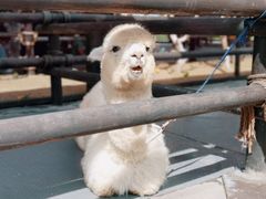 -波塞冬旅游度假区