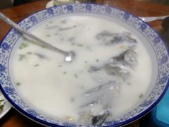 -全乐鱼馆·淳牌有机鱼直营店