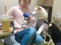 -逗柴咖啡屋·狗咖猫咖宠物桌游