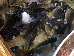 -缘福乡村铁锅炖民宿(八达岭店)