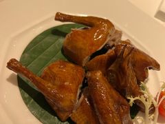 红烧乳鸽-東海海鲜酒家(中信广场店)