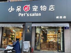 -小呆的宠物店·宠物售卖·宠物寄养(城西店)