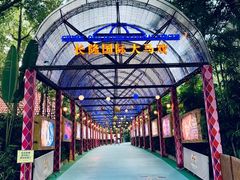 -广州长隆国际大马戏