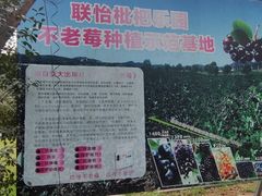 -上海佘山国家森林公园天马山园