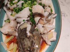 -大榕树下顺德菜(融创茂店)