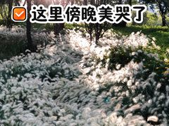 -庾园