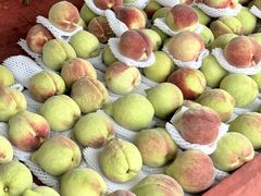 -细村农贸综合市场