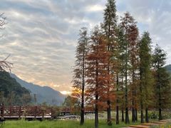 -广州市石门国家森林公园