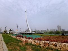 -金银湖国家城市湿地公园