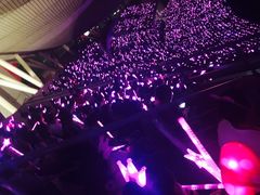 -南京奥林匹克体育中心-体育馆