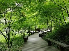 -绿茶餐厅(西湖银泰百货店)