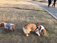 -钟山体育运动公园