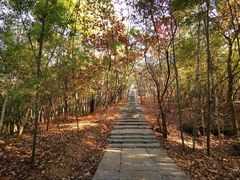 -南京市无想山景区