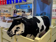 -红星前进面包牛奶公司(君太店)