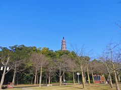 -顺峰山公园