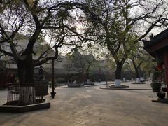 -关中书院