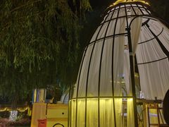 -维斯特·夜烤牛肋条任吃