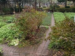 -故乡缘·香格里拉山庄(冷竹路店)