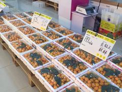 -诚实果品批发行(三星路店)