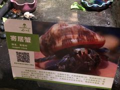 -青青世界