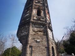 -上海佘山国家森林公园天马山园